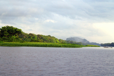 Puerto Limon The Tortuguero Canals cruise excursion